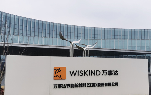 万事达股份WISKIND